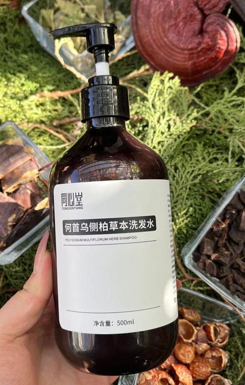 告別脫發(fā)困擾！2024平價防脫育發(fā)產(chǎn)品盤點(diǎn)，這四款值得一試